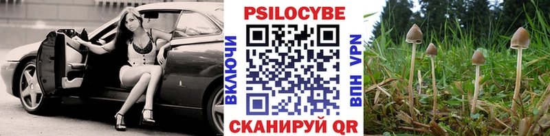 наркотики Алексин Галлюциногенные грибы мицелий
